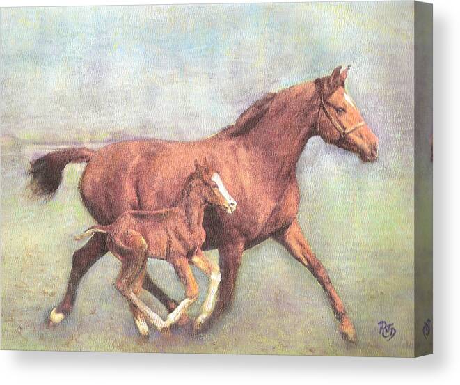 Horse Canvas Print featuring the painting FREE and fleet as the wind by Richard James Digance