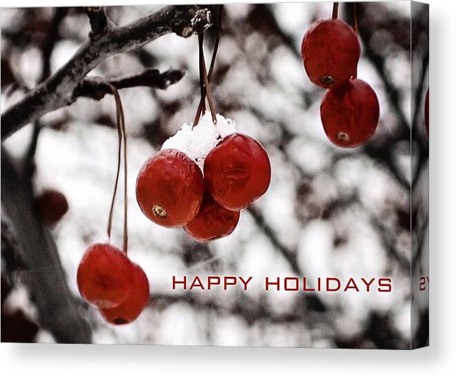 Happy Holidays Canvas Print featuring the photograph Happy Holidays Berries by Laura Kinker