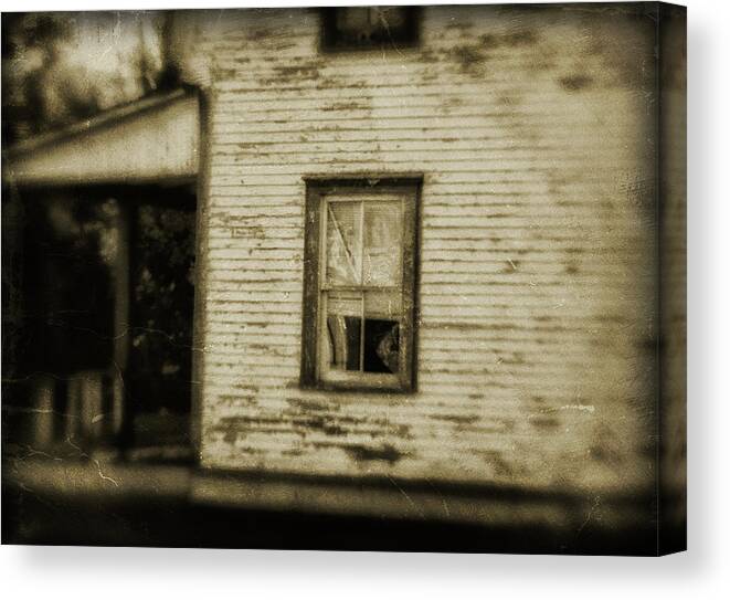 Rural Canvas Print featuring the photograph In the Window by Peter Labrosse