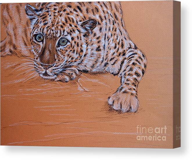 Leopard Canvas Print featuring the pastel Leopard 2 by Amanda Dinan