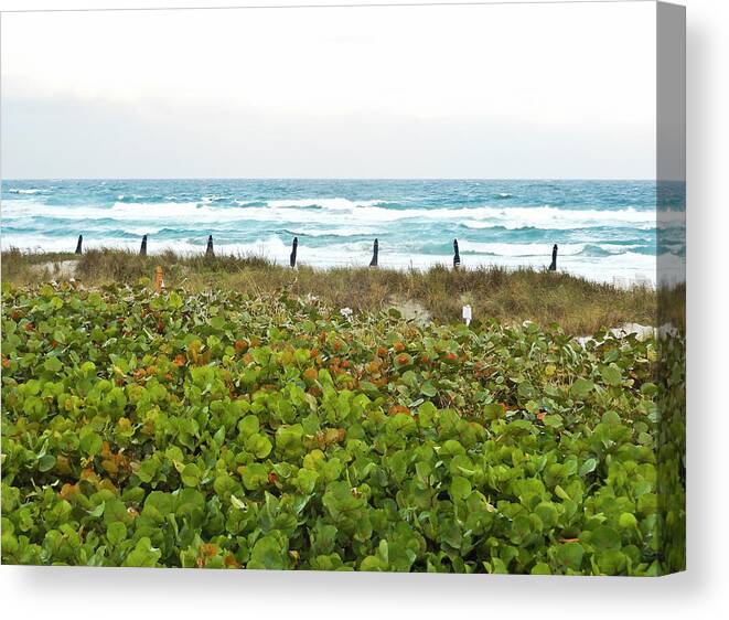 Ocean Canvas Print featuring the photograph Oceanside by Pete Rems