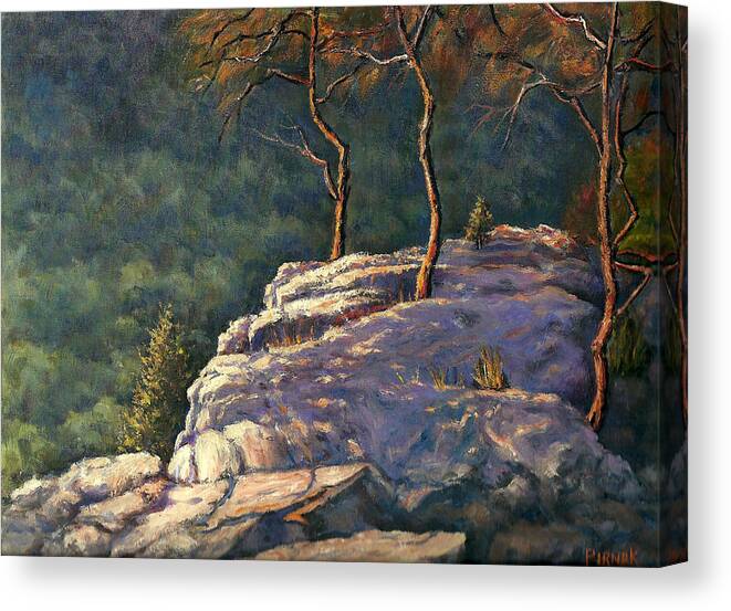 Rocks Canvas Print featuring the photograph Point of Rocks by John Pirnak