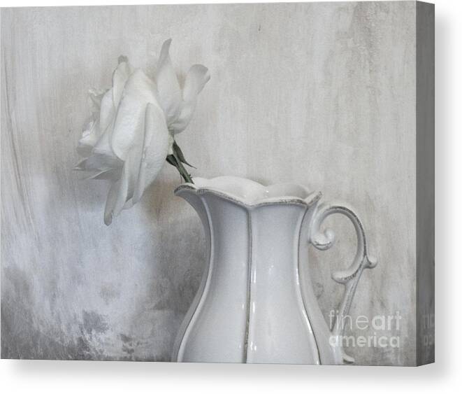 Photo Canvas Print featuring the photograph Pure White by Marsha Heiken