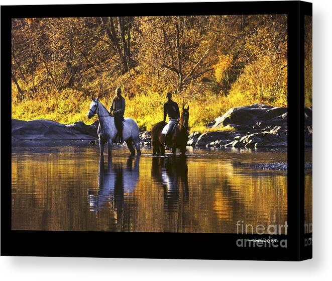 Horses Canvas Print featuring the photograph Reflecting on the Ride by Jonathan Fine