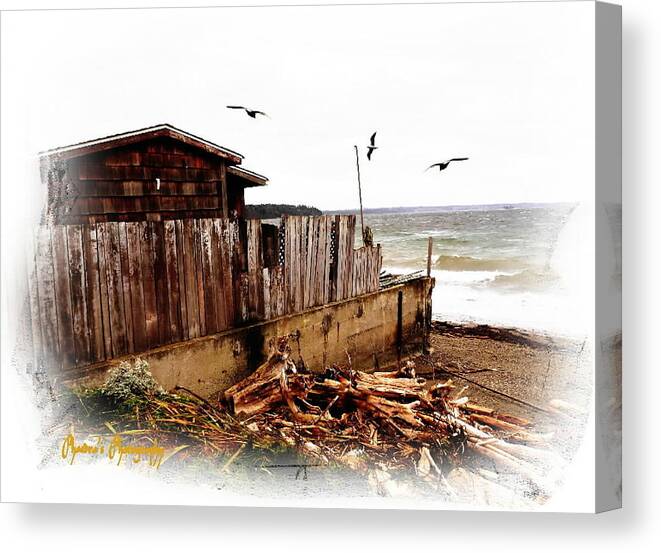 Cabin Canvas Print featuring the photograph Sea Shanty by A L Sadie Reneau