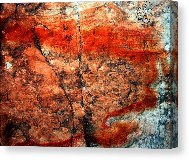 Sedona Canvas Print featuring the photograph Sedona Red Rock Abstract 2 by Peter Cutler