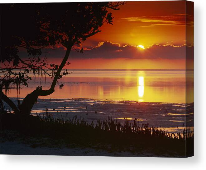 00175659 Canvas Print featuring the photograph Sunset Over Annes Beach Florida by Tim Fitzharris