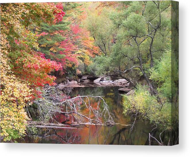 Fall Colors Canvas Print featuring the photograph Tanasee Creek in the Fall by Duane McCullough