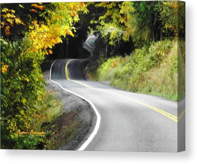 Roads Canvas Print featuring the photograph The Low Road by A L Sadie Reneau