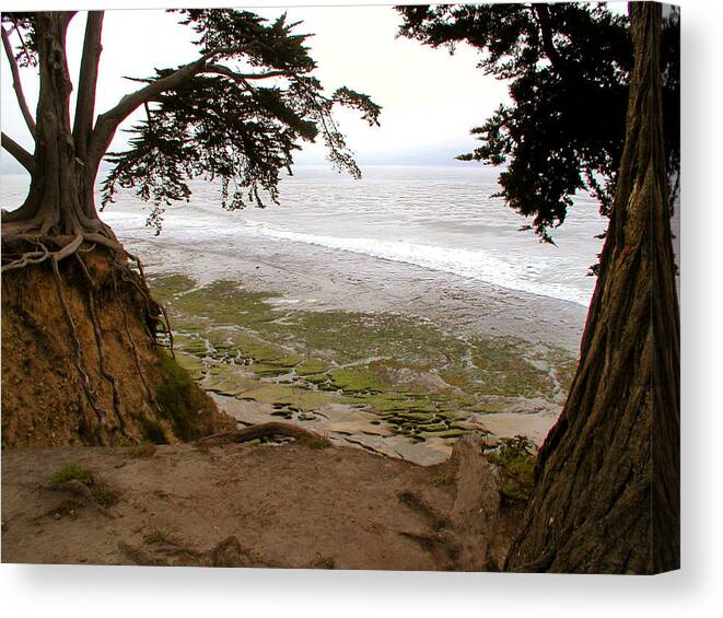 Landscape Canvas Print featuring the photograph The sentinels view of the ocean by Kathleen Grace