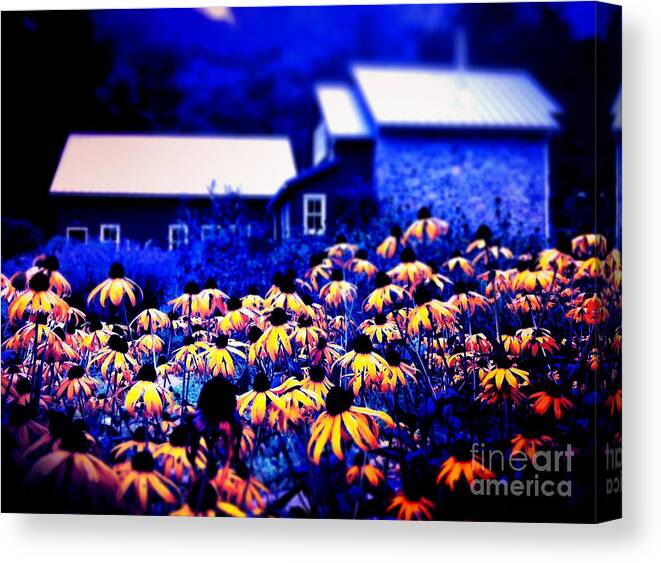 Flowers Canvas Print featuring the photograph The Suns of God by Kevyn Bashore
