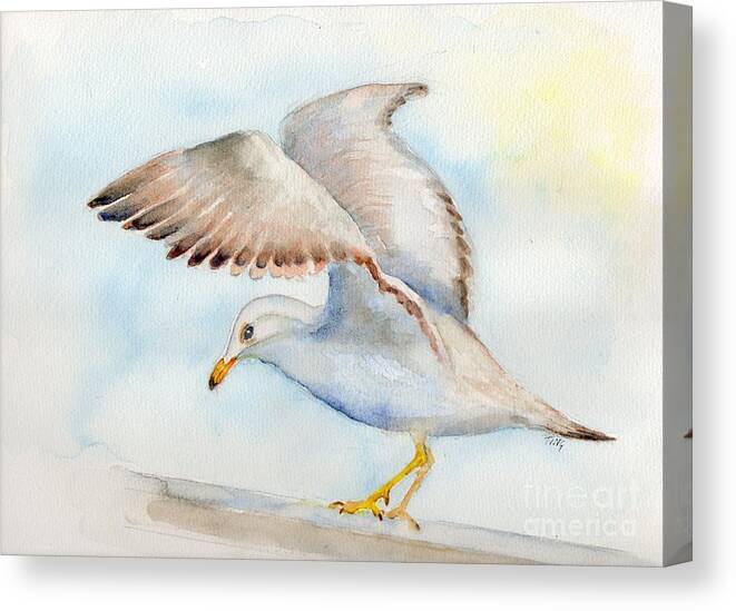 Gull Canvas Print featuring the painting Tybee Seagull by Doris Blessington