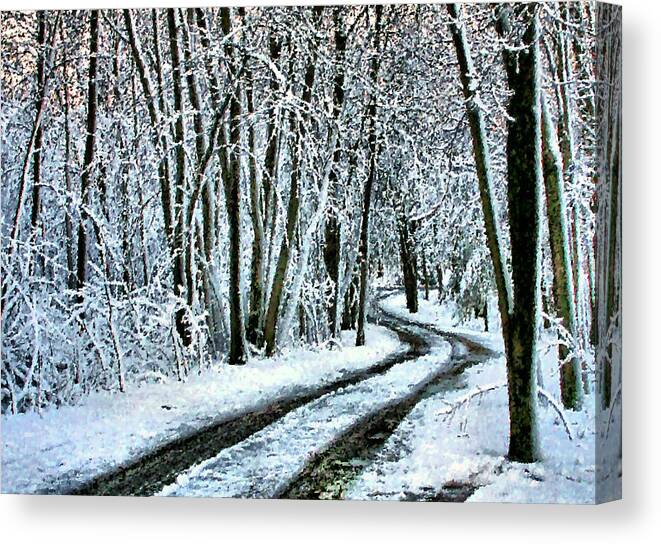 Snow Canvas Print featuring the photograph Wending One's Way by Kristin Elmquist