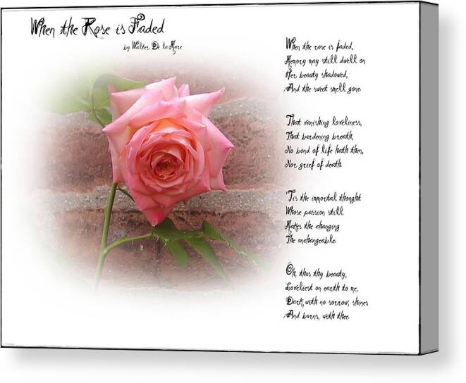 Rose Canvas Print featuring the photograph When the Rose is Faded by Bill Cannon