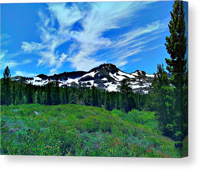 Wild Flowers Canvas Print featuring the photograph Wild Flower Mountain by Brad Scott