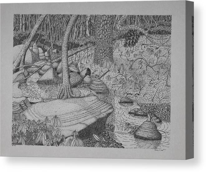 Nature Canvas Print featuring the drawing Woodland Stream by Daniel Reed