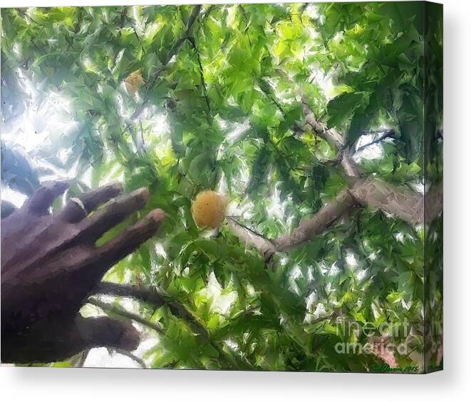  Mango Art Canvas Print featuring the painting Mango Time 4 by Carl Gouveia