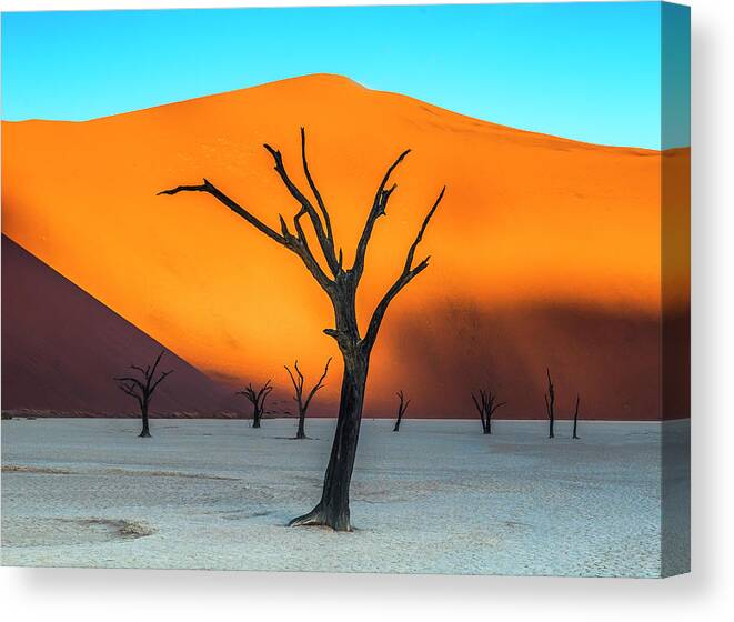 Deadvlei Canvas Print featuring the photograph Beauty lives forever. #2 by Usha Peddamatham