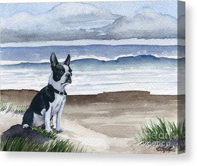 Boston Terrier Canvas Print featuring the painting Boston Terrier At The Beach #2 by David Rogers