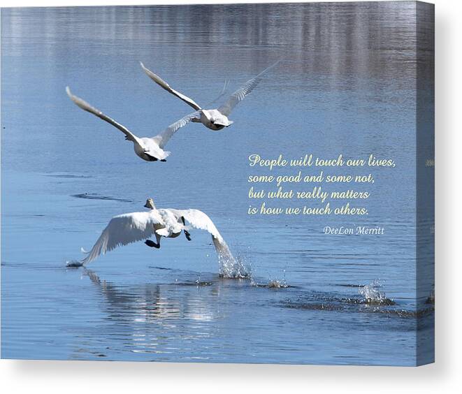 Birds Canvas Print featuring the photograph People Will Touch Our Lives... #1 by DeeLon Merritt
