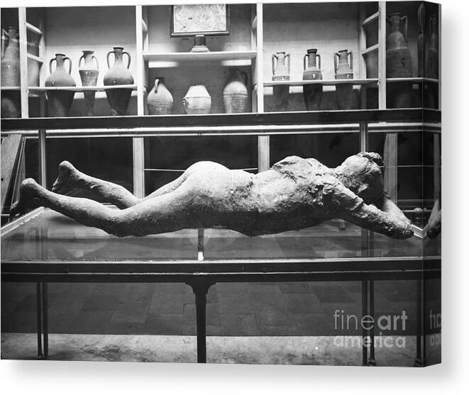 1873 Canvas Print featuring the photograph Pompeii: Plaster Cast #1 by Granger