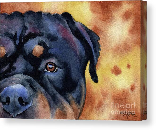 Rottweiler Canvas Print featuring the painting Rottweiler #4 by David Rogers