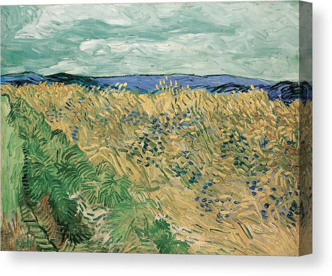 Vincent Van Gogh Canvas Print featuring the painting Wheatfield With Cornflowers #5 by Vincent van Gogh