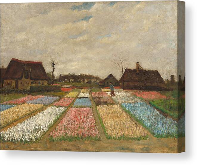 Tulip Canvas Print featuring the painting Flower Beds in Holland by Vincent Van Gogh