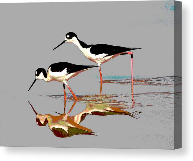 Two Stilts At The Pond Canvas Print featuring the photograph Two Stilts At The Pond #2 by Tom Janca