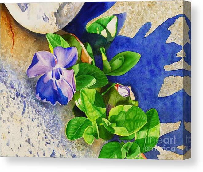 Floral Canvas Print featuring the painting #236 Vinca minor #236 by William Lum