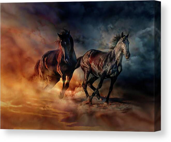 Horses Canvas Print featuring the painting Two horses #3 by Lilia S