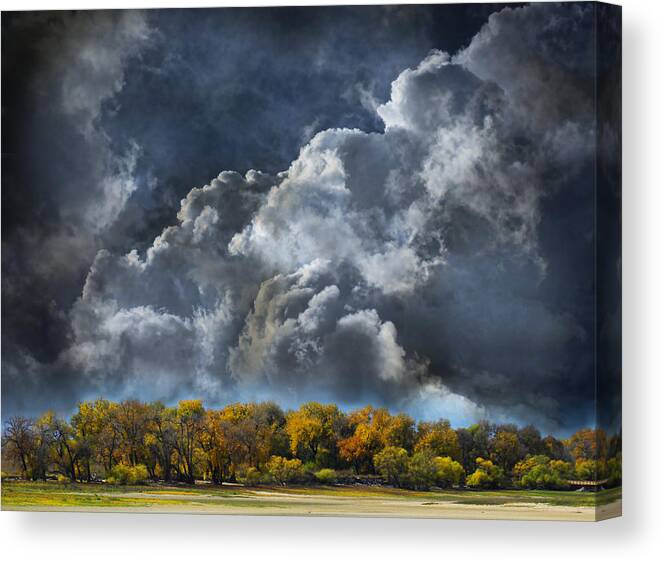 Trees Canvas Print featuring the photograph 3985 by Peter Holme III