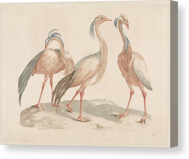 Three Cranes Canvas Print featuring the painting Anonymous #5 by MotionAge Designs