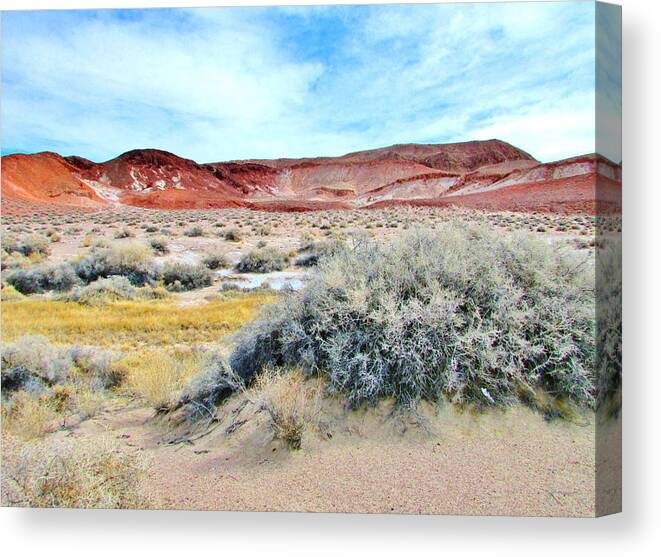 Sky Canvas Print featuring the photograph Colors Galore #6 by Marilyn Diaz
