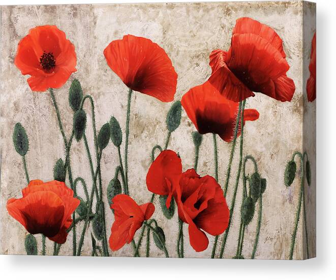 Poppies Canvas Print featuring the painting 7papaveri7 by Guido Borelli