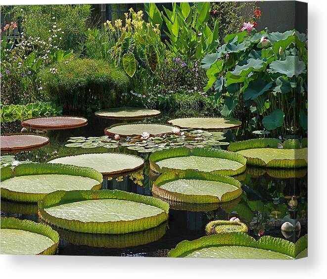 water Garden Canvas Print featuring the photograph A Water Garden by Byron Varvarigos