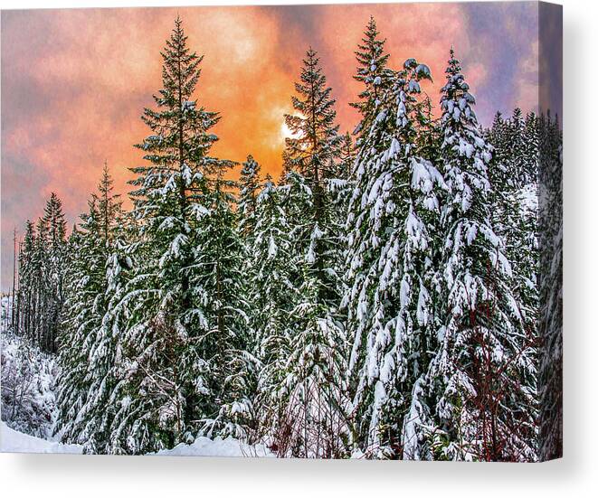 Sunset Canvas Print featuring the photograph A winters sky set ablaze by Jason Brooks