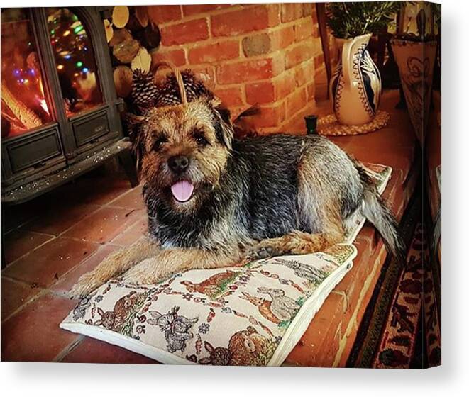 Dog Canvas Print featuring the photograph Happy Place by Rowena Tutty