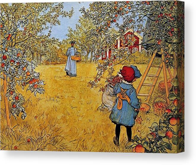 Carl Larsson Apple Orchard Canvas Print featuring the painting Apple by MotionAge Designs