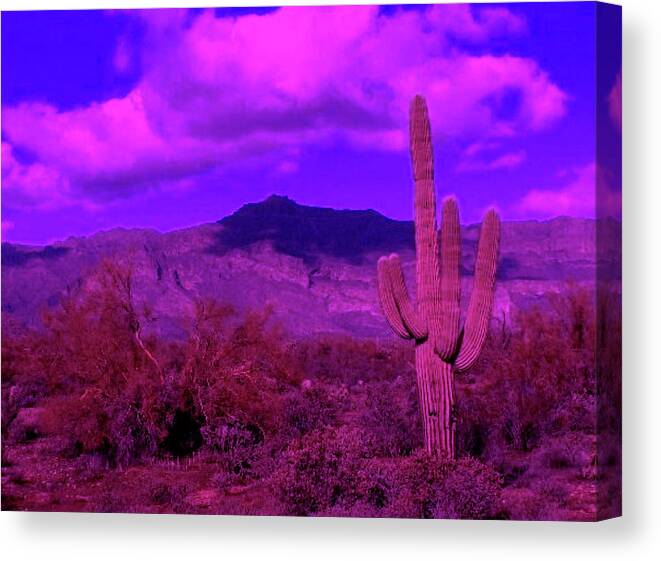 Arizona Canvas Print featuring the photograph Arizona Purple Haze by Judy Kennedy