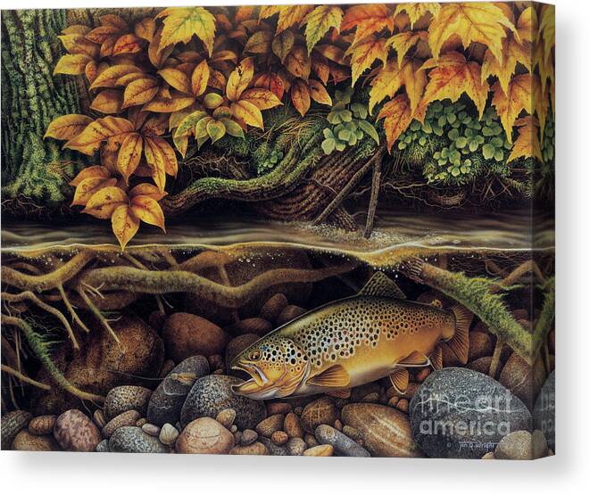 Autumn Brown Trout Canvas Print / Canvas Art by Jon Wright - Pixels Canvas  Prints