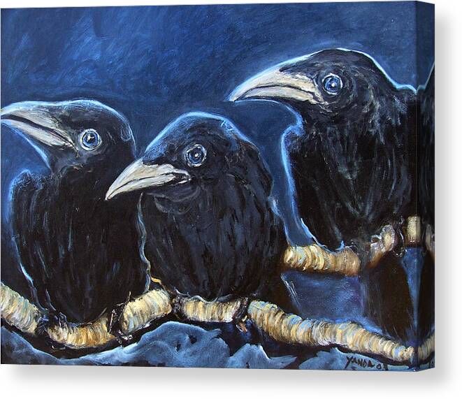 Katt Yanda Original Art Oil Painting Baby Crows Ravens Canvas Print featuring the painting Baby Crows by Katt Yanda