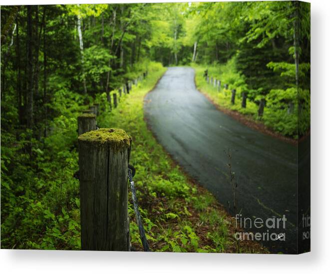 Road Canvas Print featuring the photograph Back Road by Alana Ranney