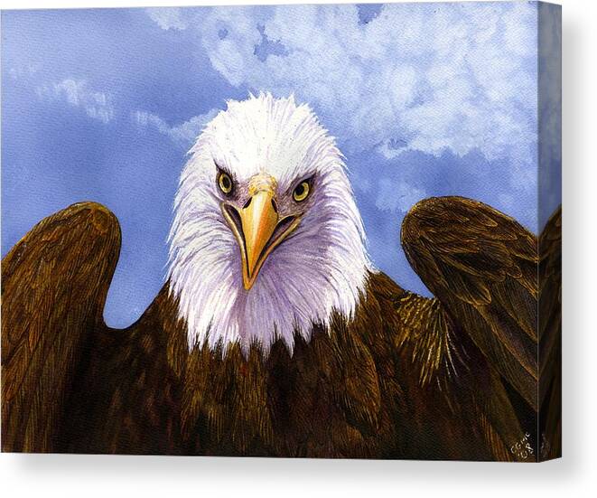 Eagle Canvas Print featuring the painting Bald Eagle by Catherine G McElroy