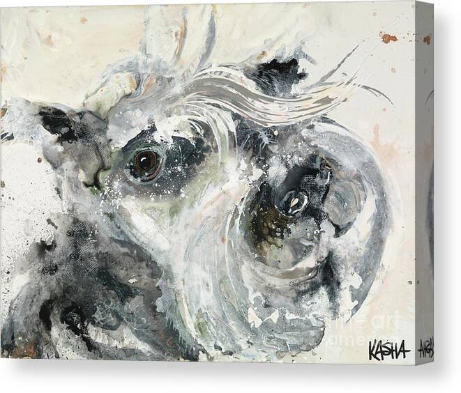Dog Canvas Print featuring the painting Bangs by Kasha Ritter