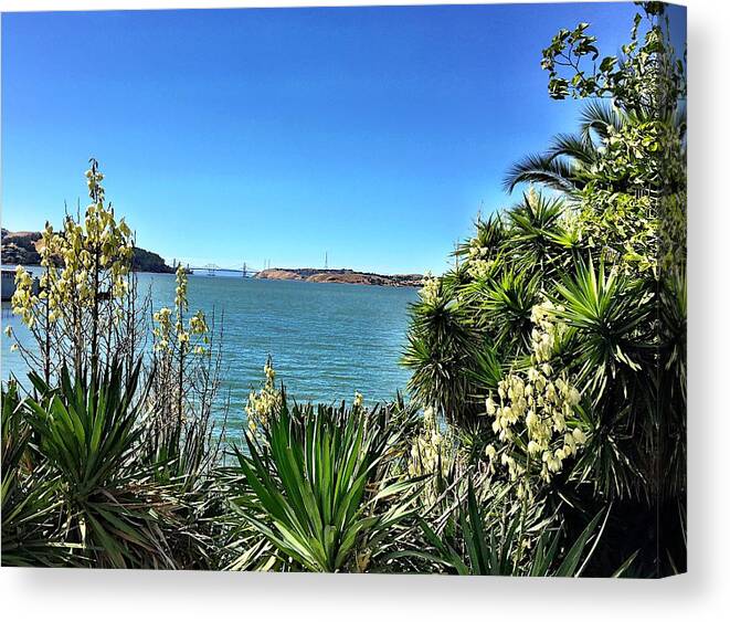Bay Canvas Print featuring the photograph Bayview by Brad Hodges
