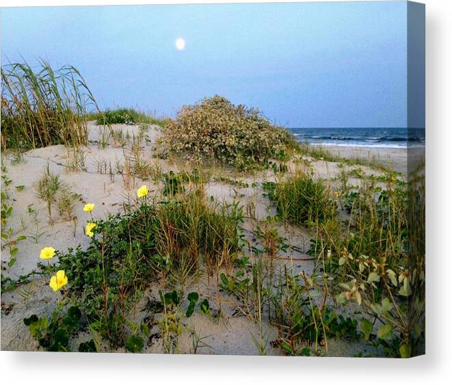 Beach Canvas Print featuring the photograph Beach Bouquet by Sherry Kuhlkin