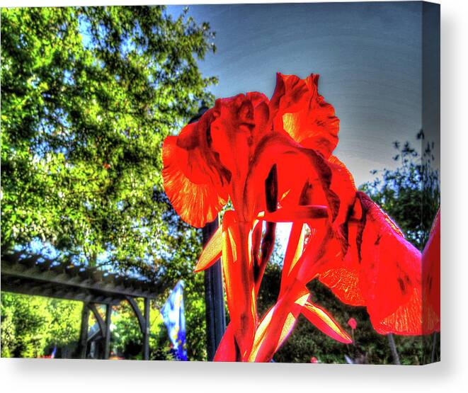 Flowers Canvas Print featuring the digital art Big Red by Kathleen Illes