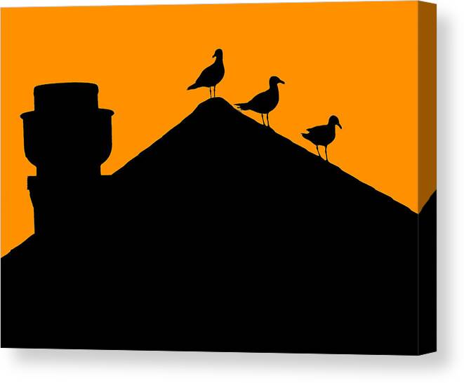 Silhouette Canvas Print featuring the photograph Bird Watch by Cathy Kovarik