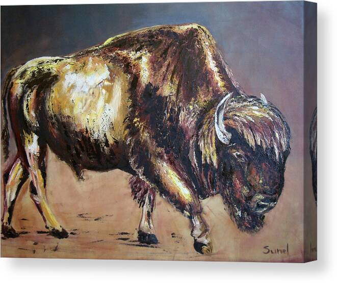 Bison Canvas Print featuring the painting Bison by Sunel De Lange